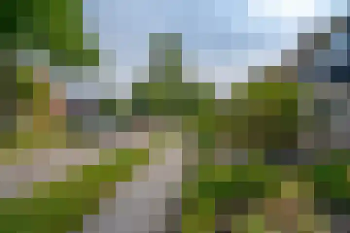 Ceintuurbaan Noord 19 Roden thumbnail 4