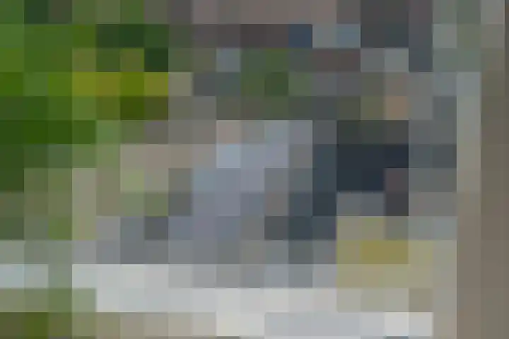 Ceintuurbaan Noord 19 Roden thumbnail 50