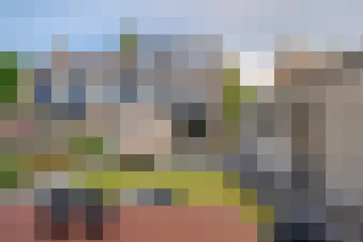 Ceintuurbaan Noord 19 Roden thumbnail 59