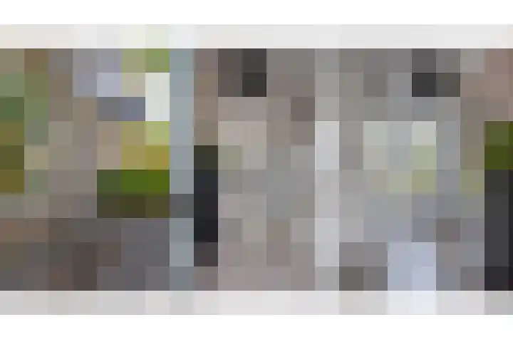 Ceintuurbaan Noord 19 Roden thumbnail 7