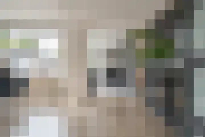 Ceintuurbaan Noord 19 Roden thumbnail 8