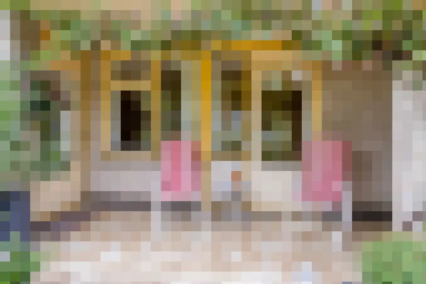 Ceintuurbaan Noord 3 B Roden thumbnail 35