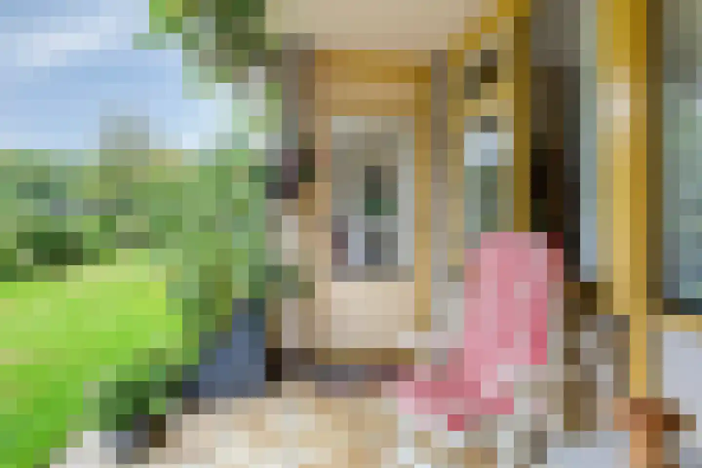 Ceintuurbaan Noord 3 B Roden thumbnail 36