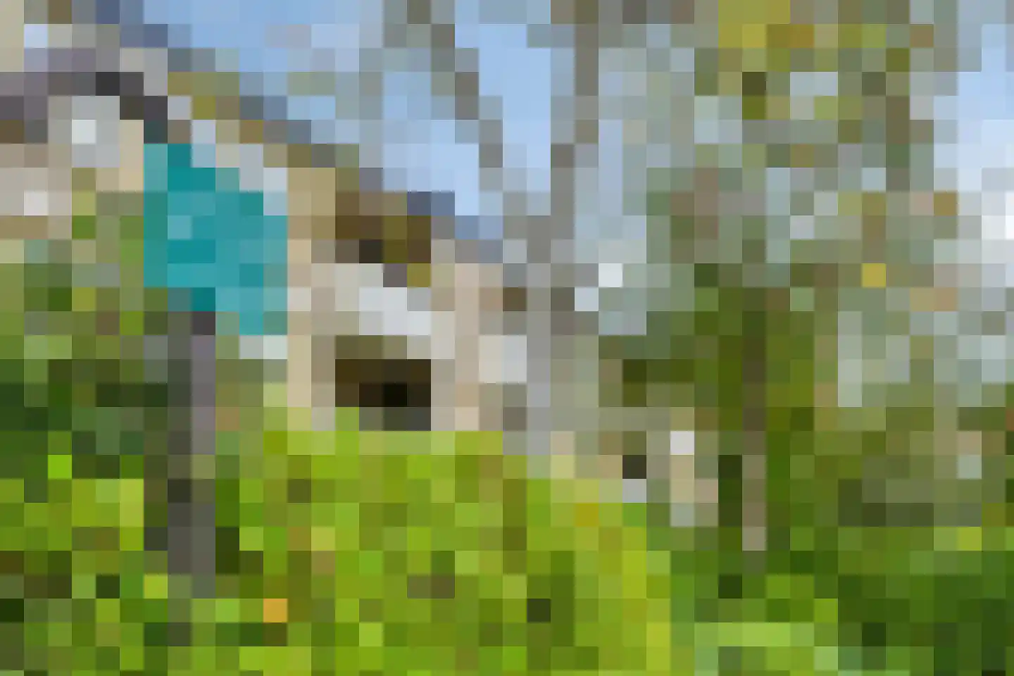 Ceintuurbaan Noord 3 B Roden thumbnail 43