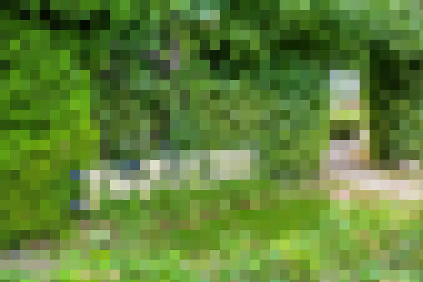 Ceintuurbaan Noord 3 B Roden thumbnail 6