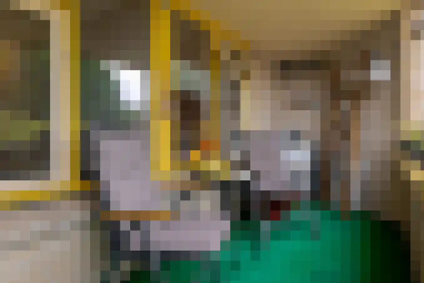 Ceintuurbaan Noord 5 H Roden thumbnail 11