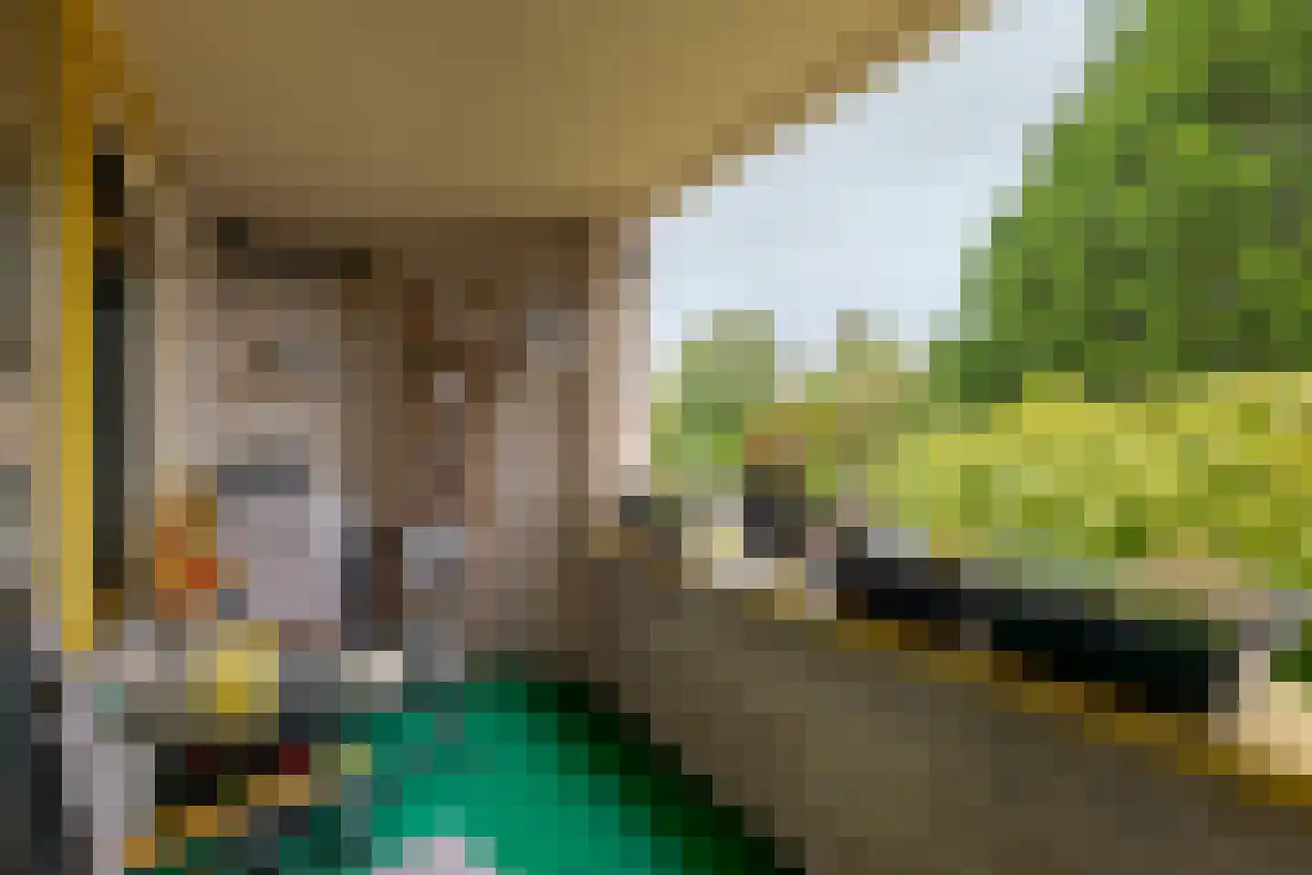 Ceintuurbaan Noord 5 H Roden thumbnail 12