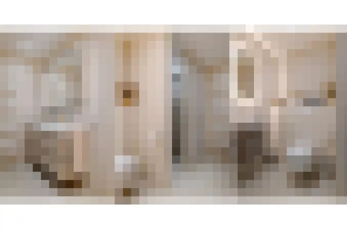 Ceintuurbaan Noord 5 H Roden thumbnail 29