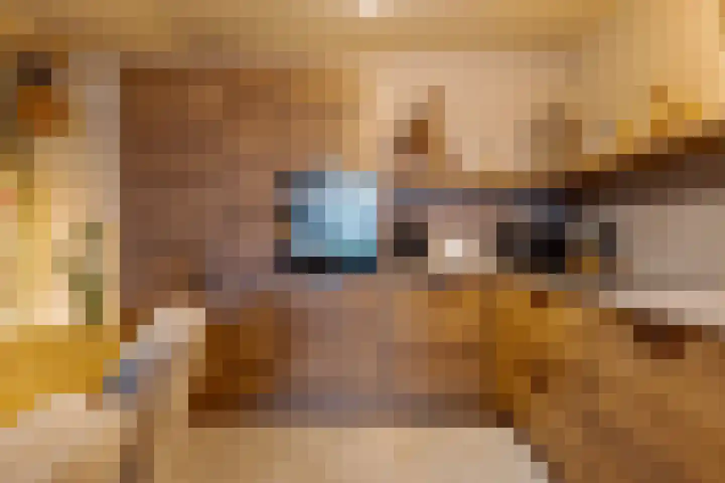 Ceintuurbaan Noord 5 H Roden thumbnail 4