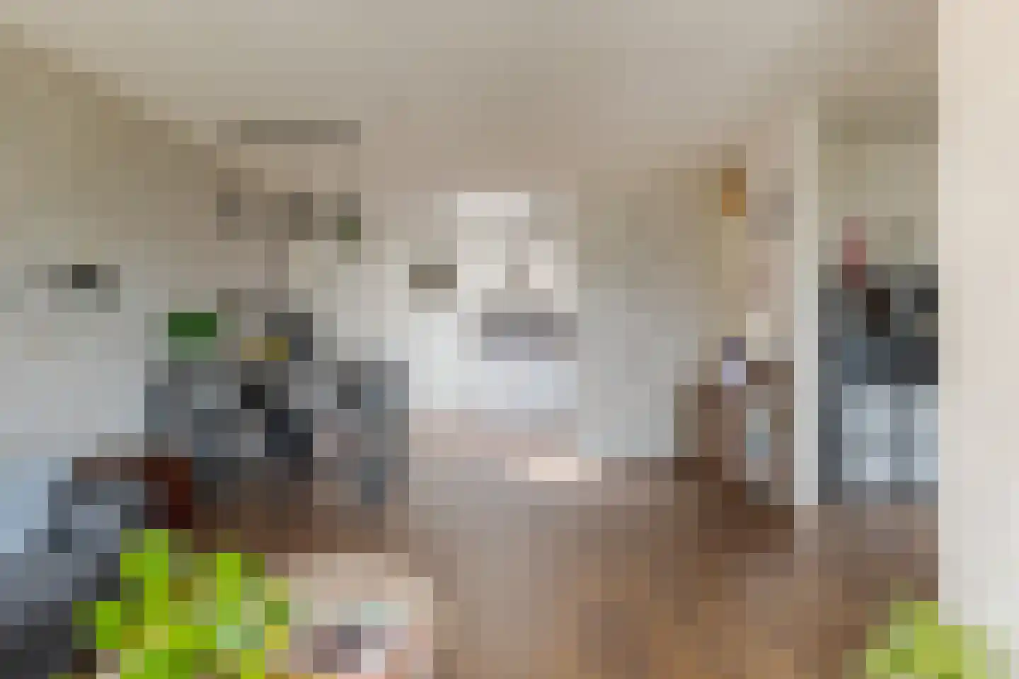 Ceintuurbaan Noord 7 F Roden thumbnail 11