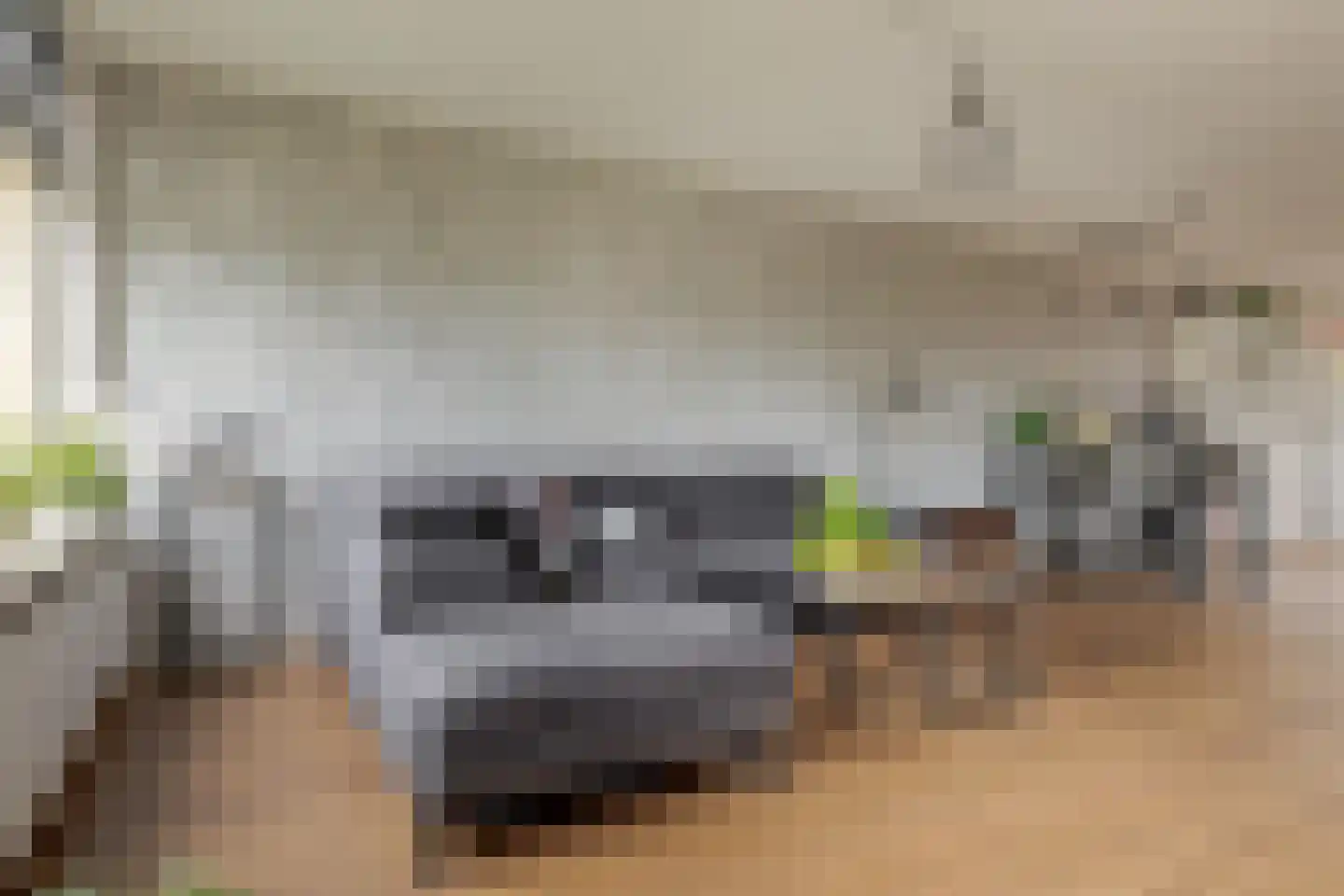 Ceintuurbaan Noord 7 F Roden thumbnail 15