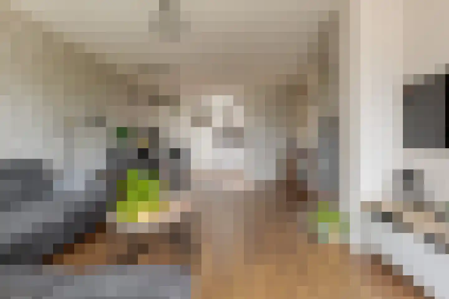 Ceintuurbaan Noord 7 F Roden thumbnail 16