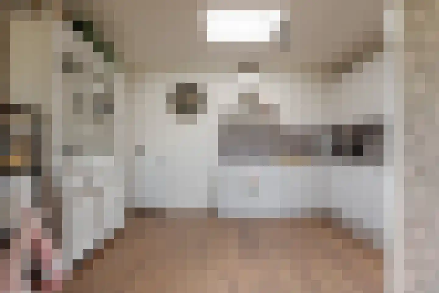 Ceintuurbaan Noord 7 F Roden thumbnail 23