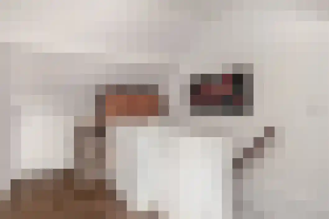 Ceintuurbaan Noord 70 Roden thumbnail 28