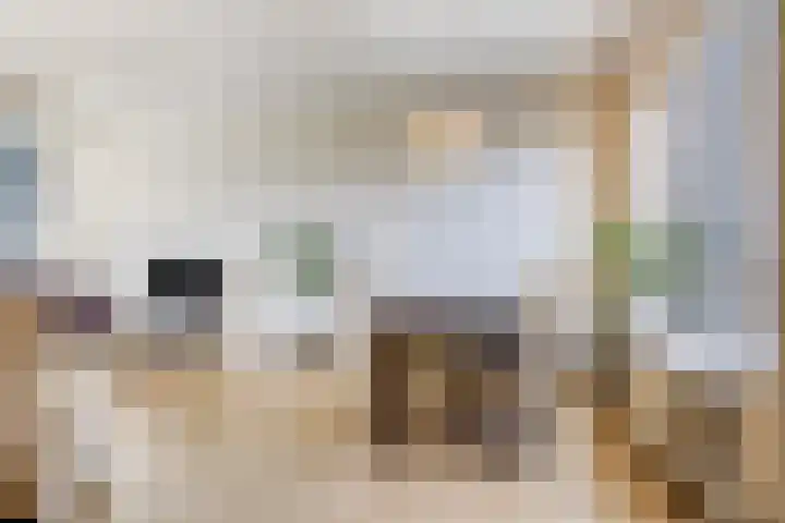 Ceintuurbaan West 13 Roden thumbnail 10