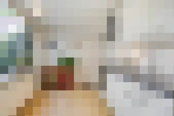 Ceintuurbaan West 13 Roden thumbnail 13