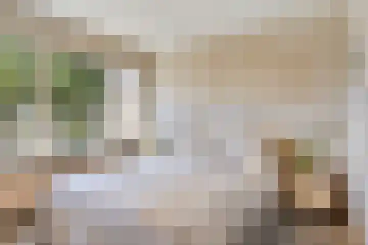 Ceintuurbaan West 13 Roden thumbnail 19