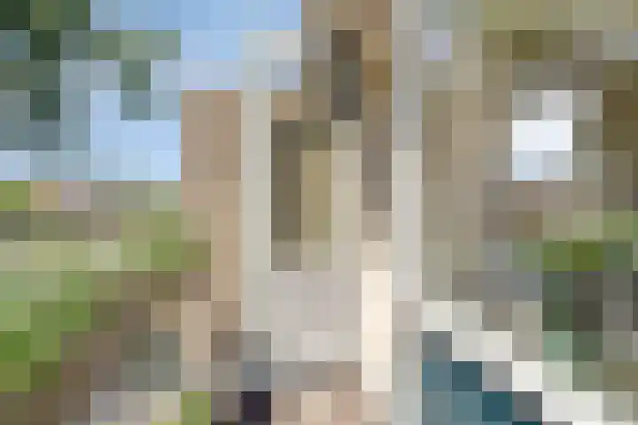Ceintuurbaan West 13 Roden thumbnail 21