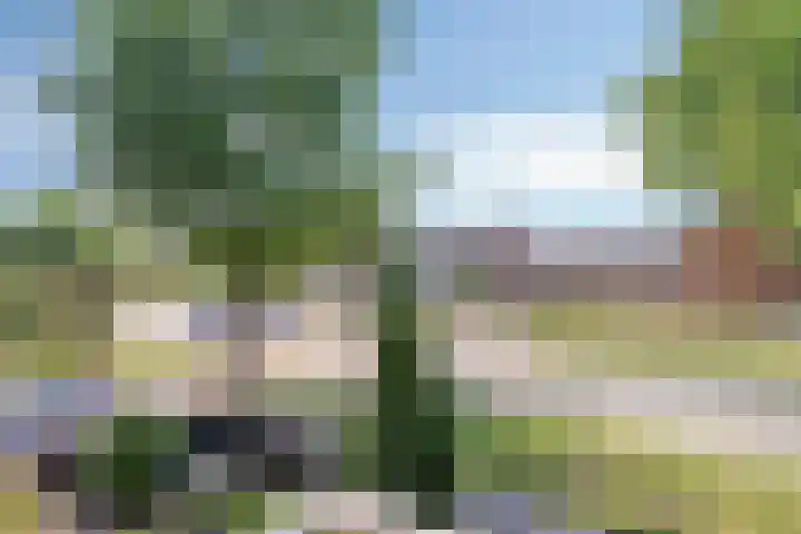 Ceintuurbaan West 13 Roden thumbnail 22