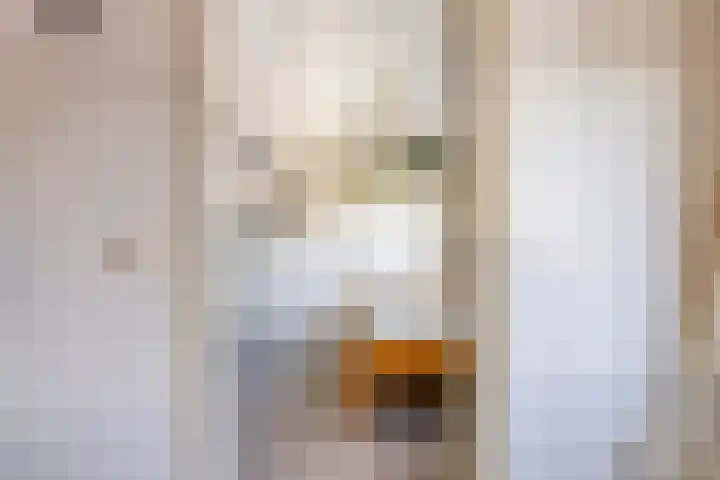 Ceintuurbaan West 13 Roden thumbnail 28