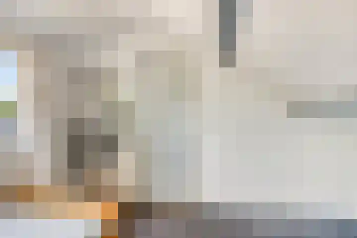 Ceintuurbaan West 13 Roden thumbnail 30