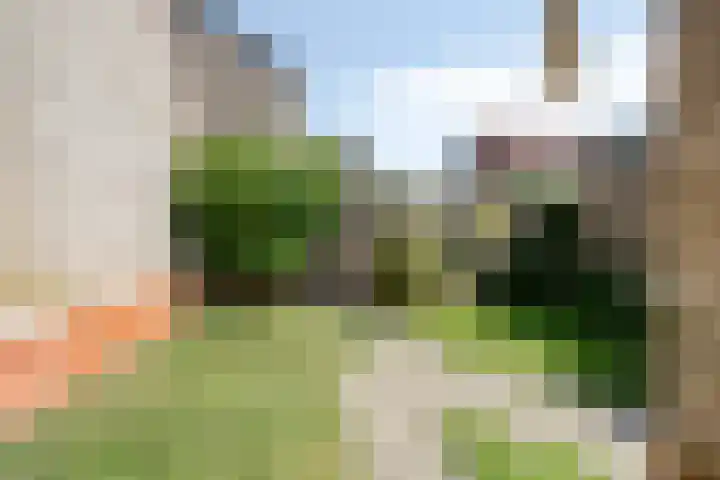 Ceintuurbaan West 13 Roden thumbnail 32
