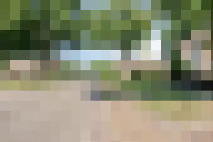 Ceintuurbaan West 13 Roden thumbnail 41