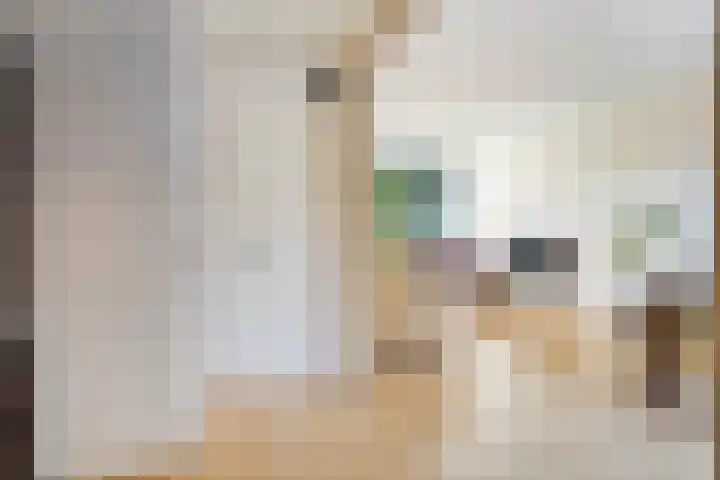 Ceintuurbaan West 13 Roden thumbnail 7