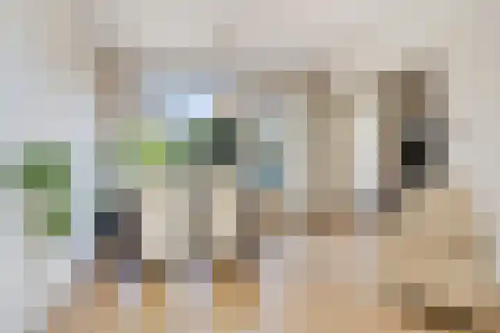 Ceintuurbaan West 13 Roden thumbnail 8