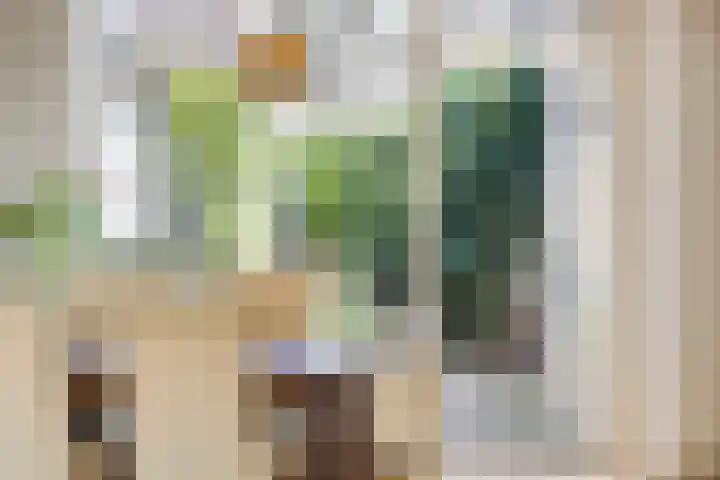 Ceintuurbaan West 13 Roden thumbnail 9