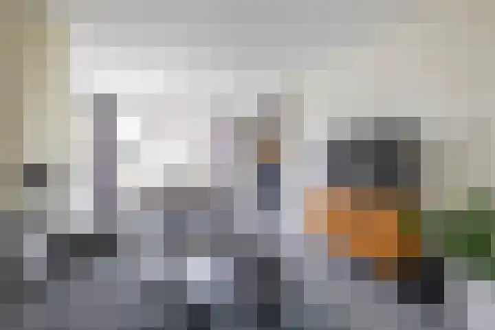 Ceintuurbaan West 37 Roden thumbnail 12