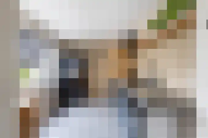 Ceintuurbaan West 37 Roden thumbnail 16