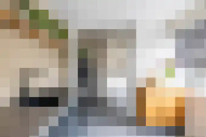Ceintuurbaan West 37 Roden thumbnail 18