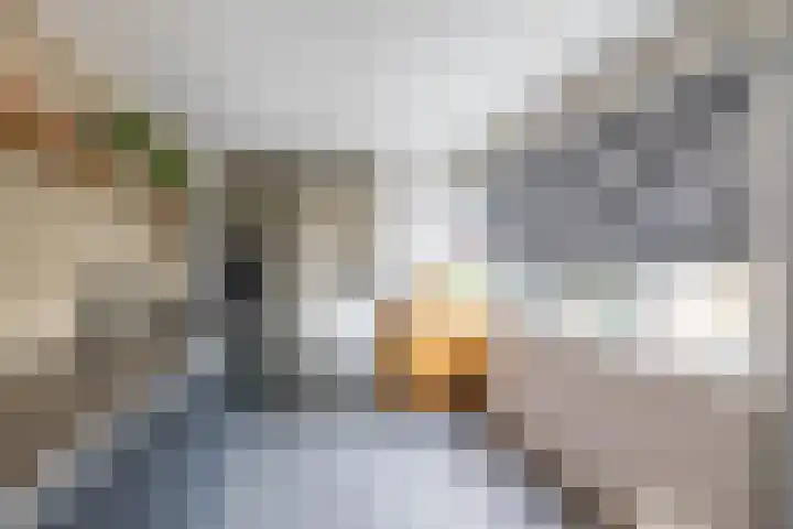 Ceintuurbaan West 37 Roden thumbnail 20
