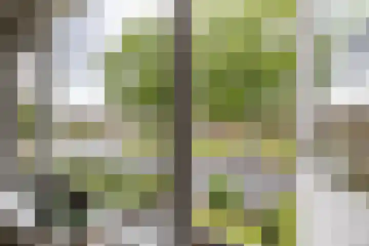 Ceintuurbaan West 37 Roden thumbnail 32