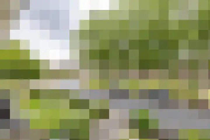 Ceintuurbaan West 37 Roden thumbnail 33
