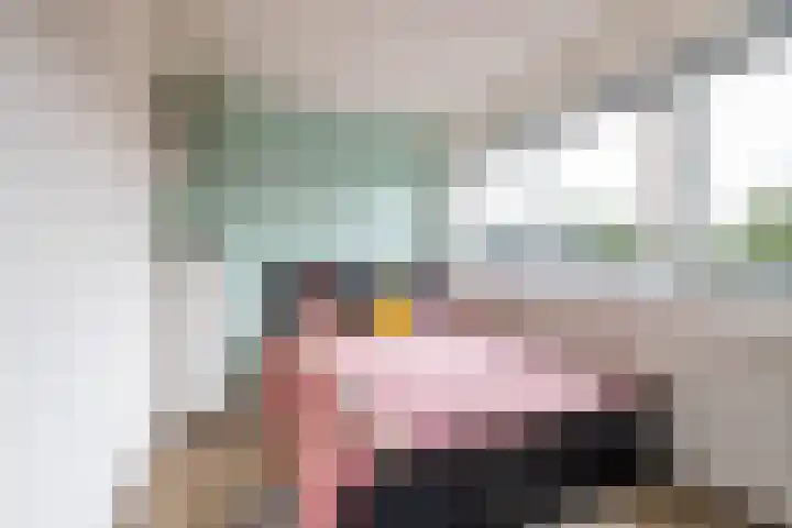 Ceintuurbaan West 37 Roden thumbnail 38
