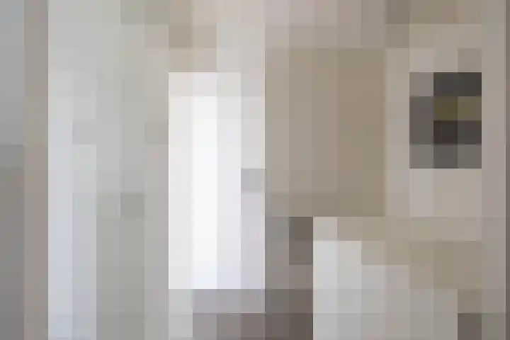 Ceintuurbaan West 37 Roden thumbnail 40