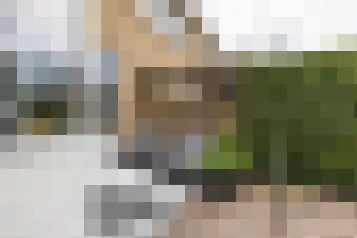 Ceintuurbaan West 37 Roden thumbnail 44