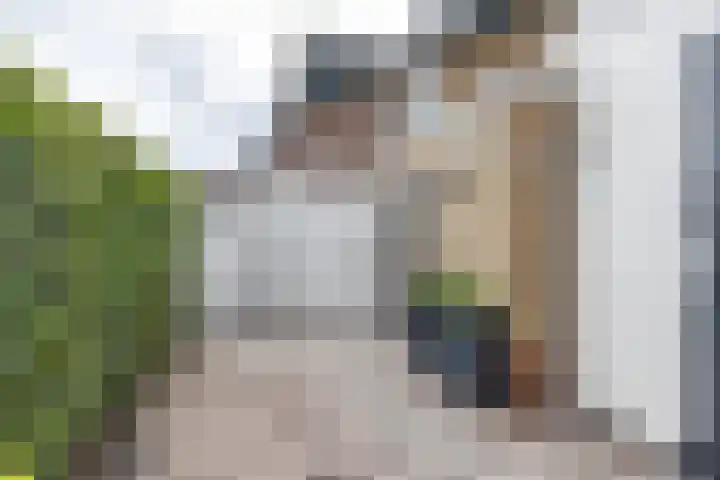 Ceintuurbaan West 37 Roden thumbnail 46