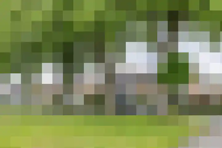 Ceintuurbaan West 37 Roden thumbnail 49