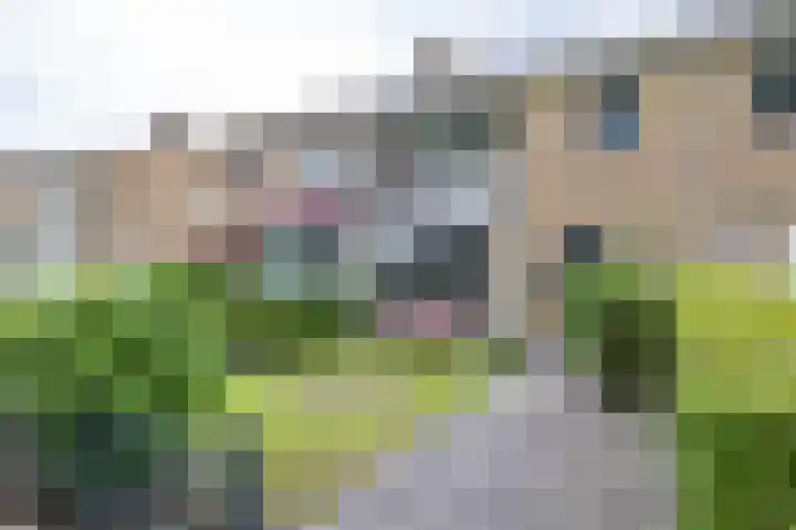 Ceintuurbaan West 37 Roden thumbnail 5