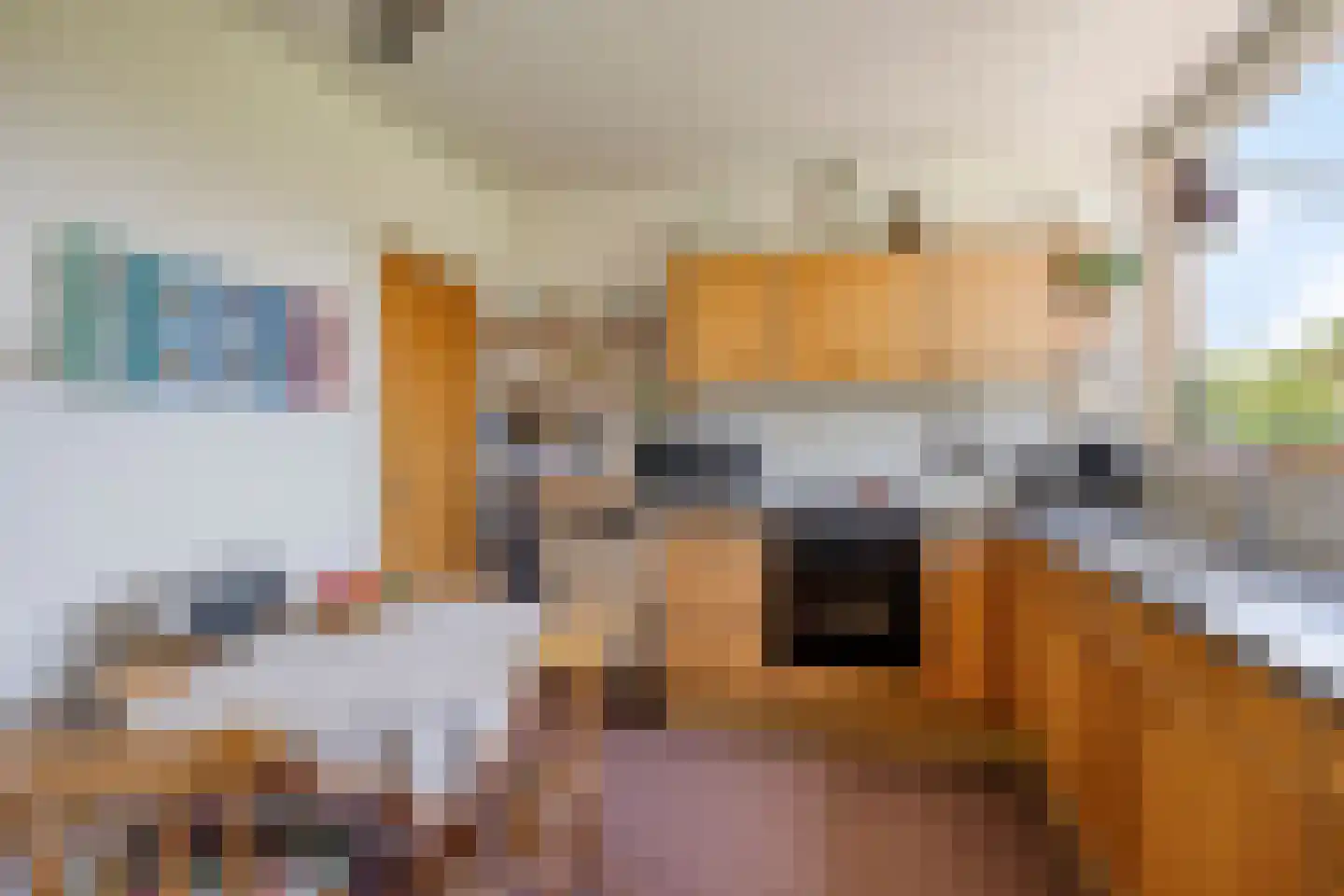 Ceintuurbaan Zuid 14 Roden thumbnail 14