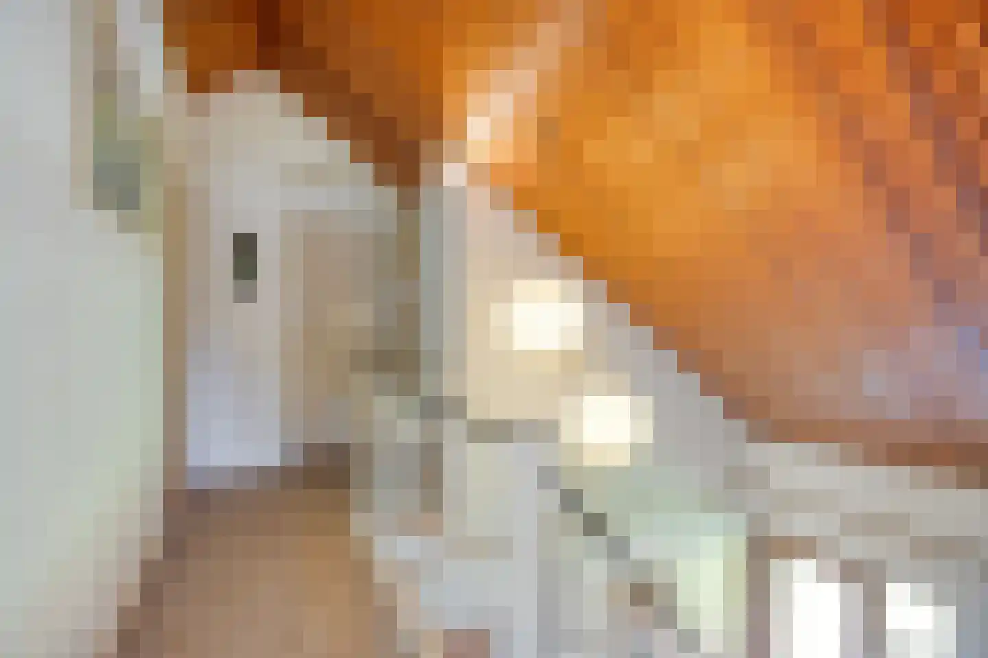 Ceintuurbaan Zuid 14 Roden thumbnail 21