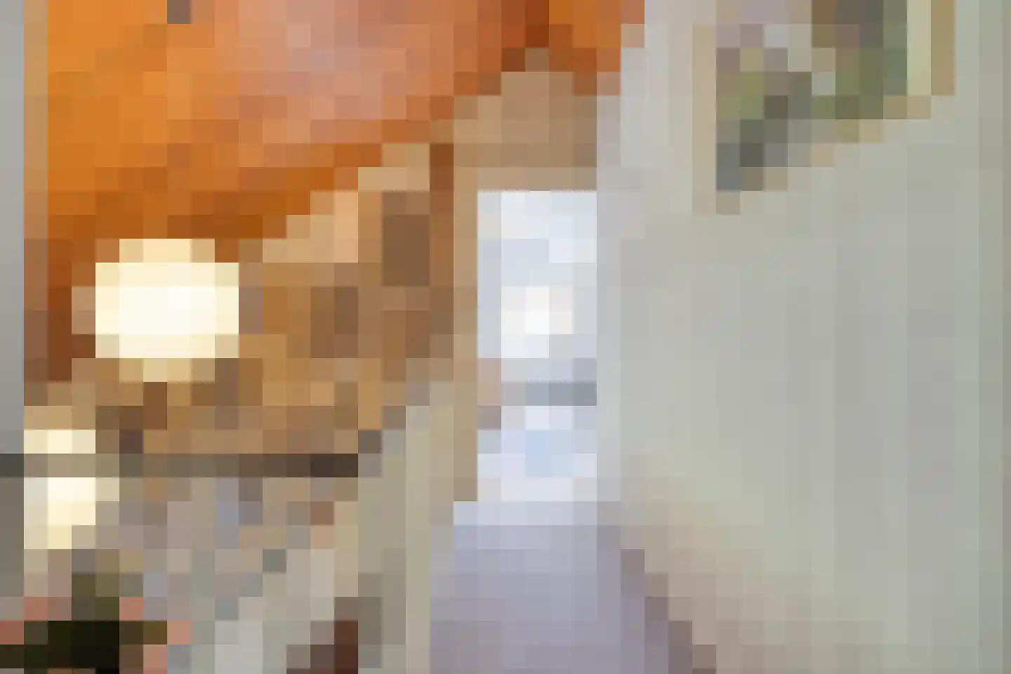 Ceintuurbaan Zuid 14 Roden thumbnail 22
