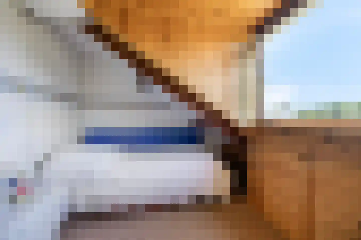 Ceintuurbaan Zuid 14 Roden thumbnail 28