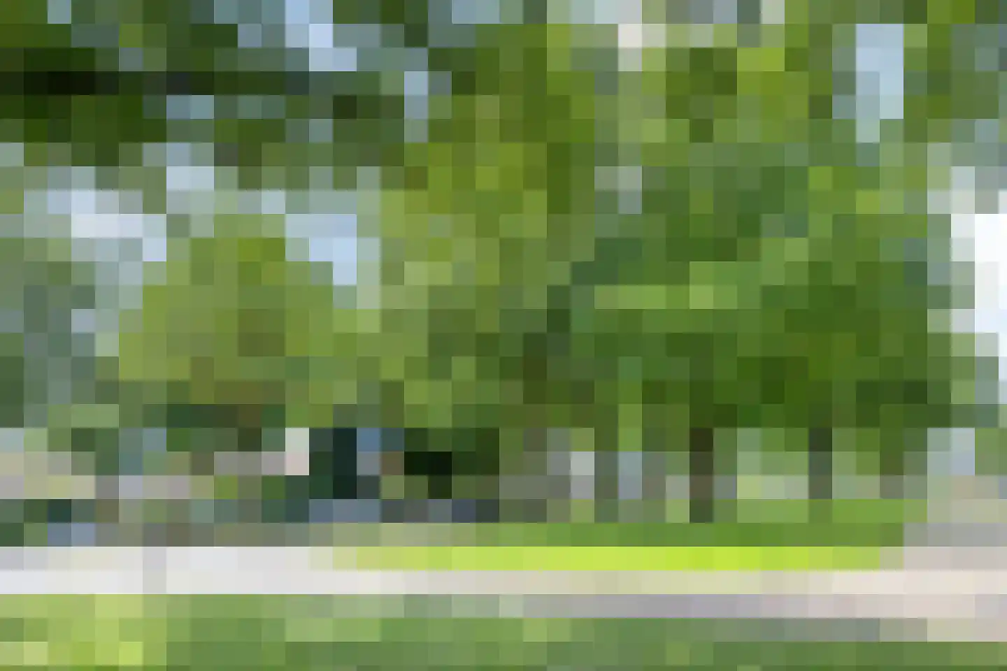 Ceintuurbaan Zuid 14 Roden thumbnail 63