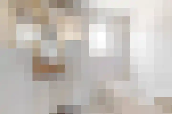 Ceintuurstraat 12 Landgraaf thumbnail 16