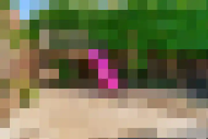 Ceintuurstraat 12 Landgraaf thumbnail 26