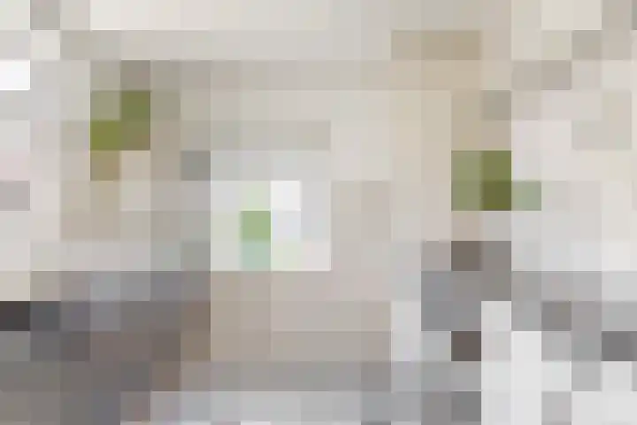 Ceintuurstraat 12 Landgraaf thumbnail 5